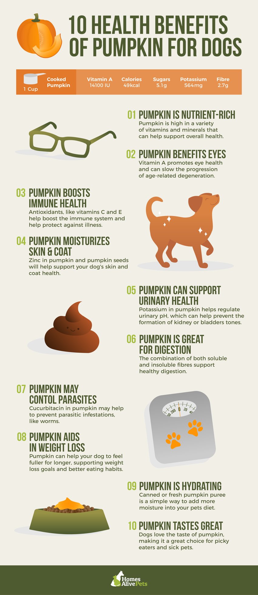 Is pumpkin good for dogs with diarrhea 2025